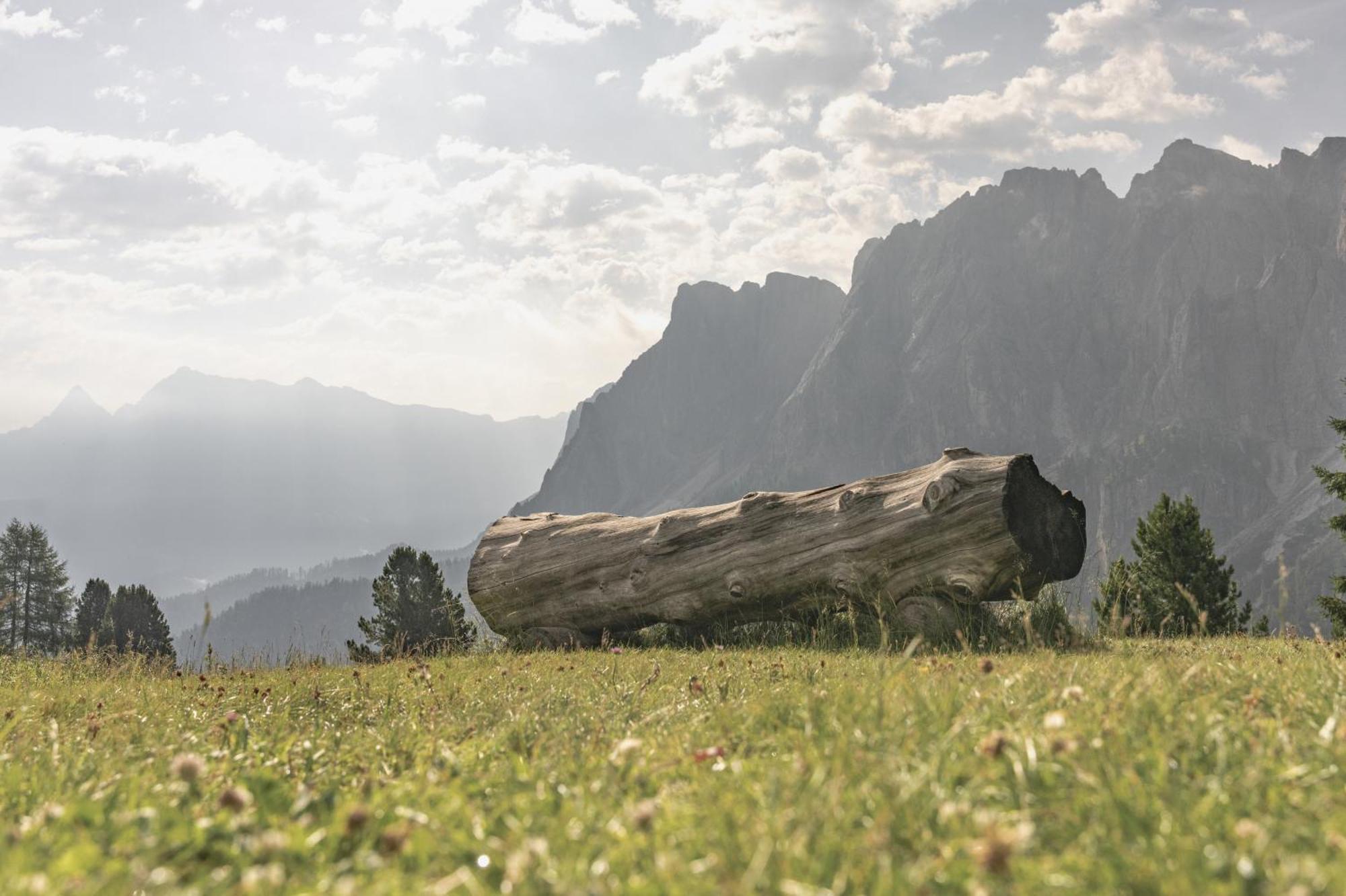 דירות סן מרטינו אין באדיה Ciasa Iachin - Dolomites Dream Retreat מראה חיצוני תמונה