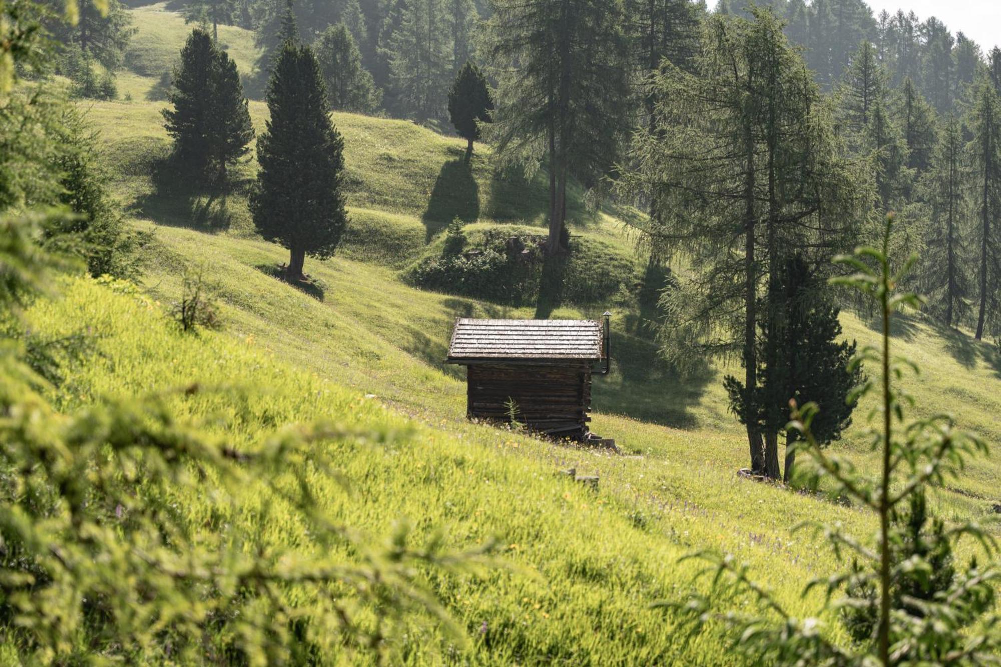 דירות סן מרטינו אין באדיה Ciasa Iachin - Dolomites Dream Retreat מראה חיצוני תמונה