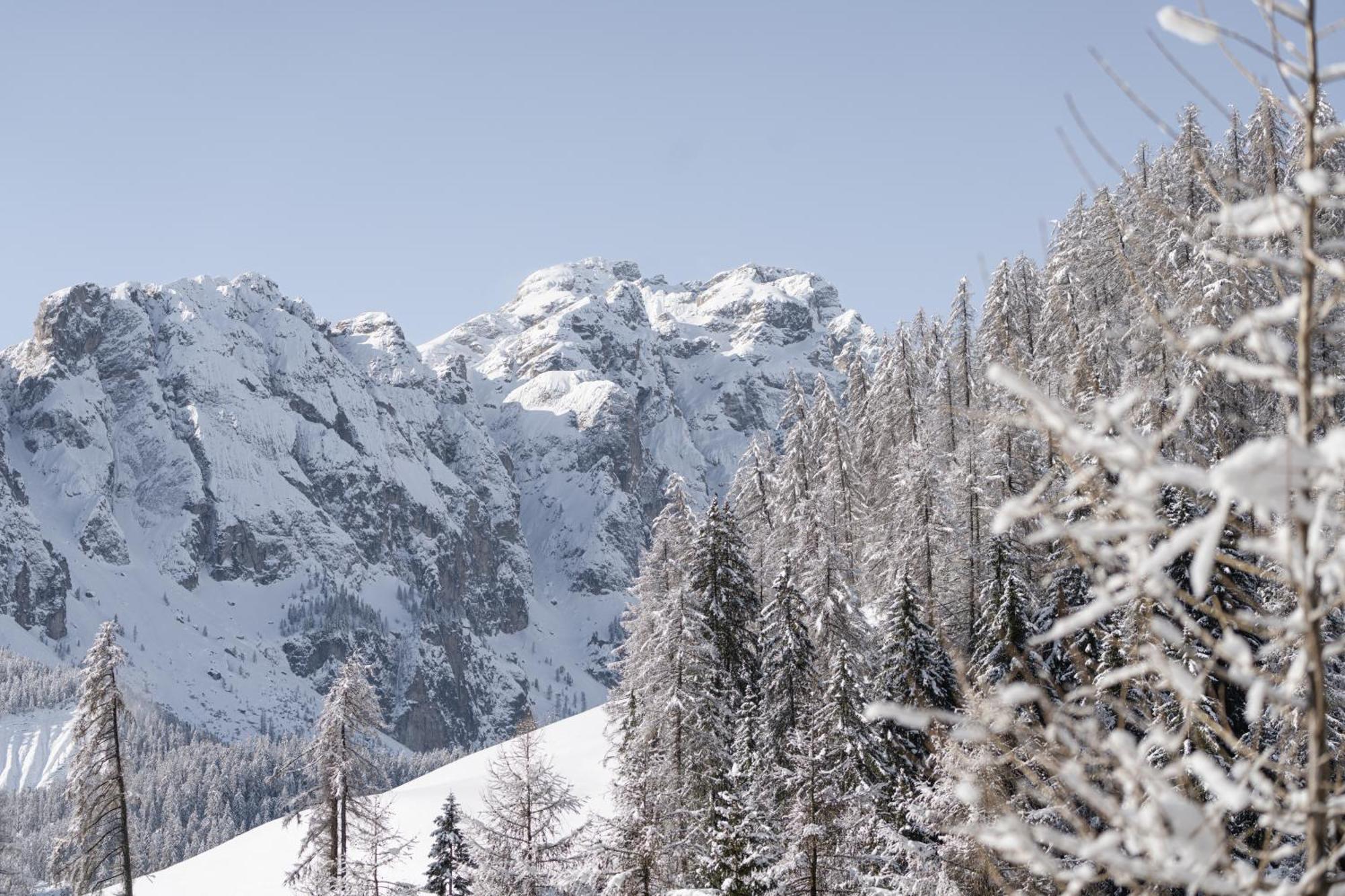 דירות סן מרטינו אין באדיה Ciasa Iachin - Dolomites Dream Retreat מראה חיצוני תמונה
