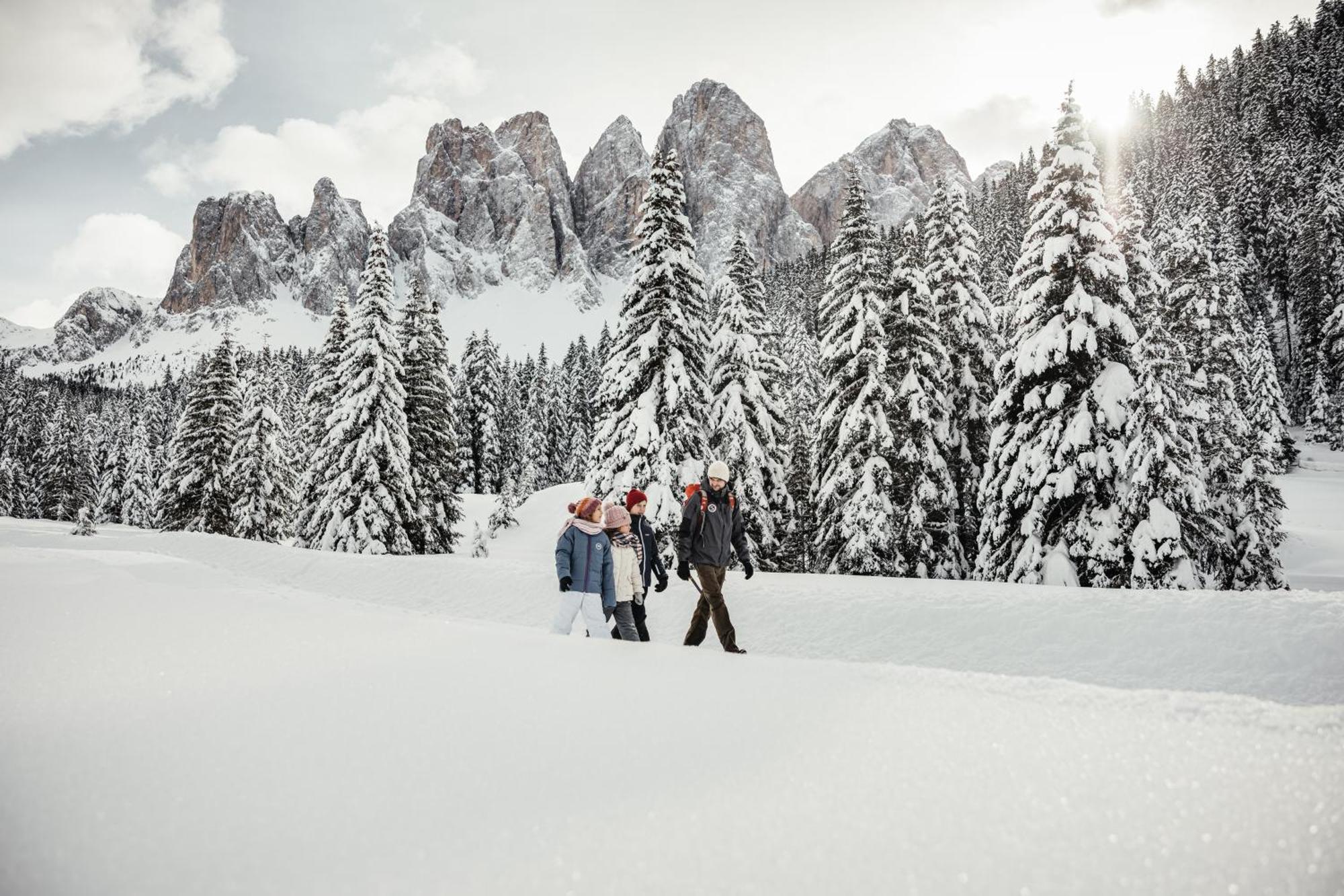 דירות סן מרטינו אין באדיה Ciasa Iachin - Dolomites Dream Retreat מראה חיצוני תמונה