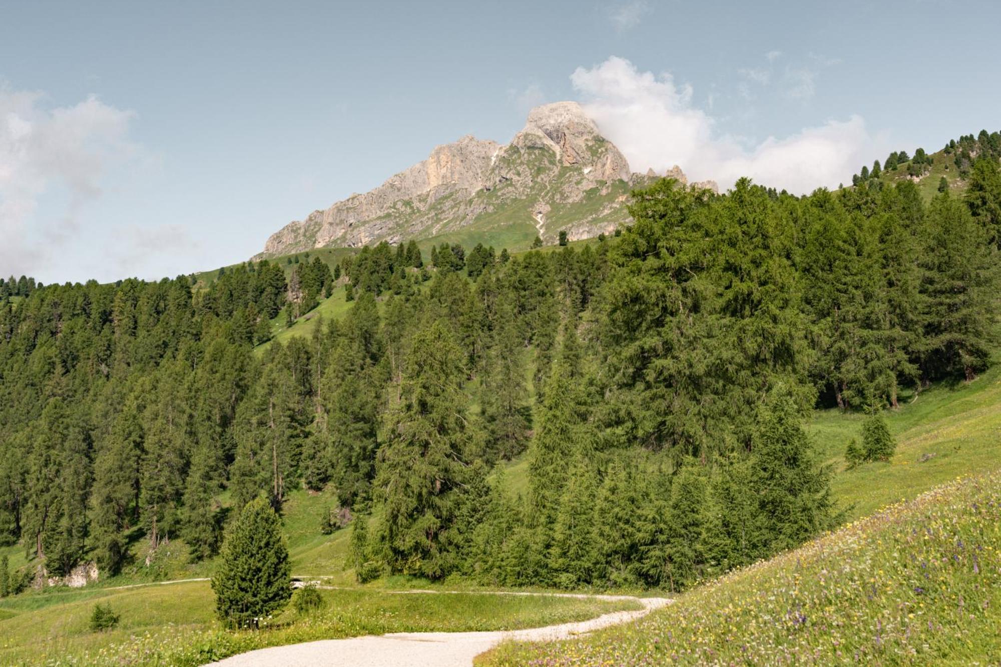 דירות סן מרטינו אין באדיה Ciasa Iachin - Dolomites Dream Retreat מראה חיצוני תמונה