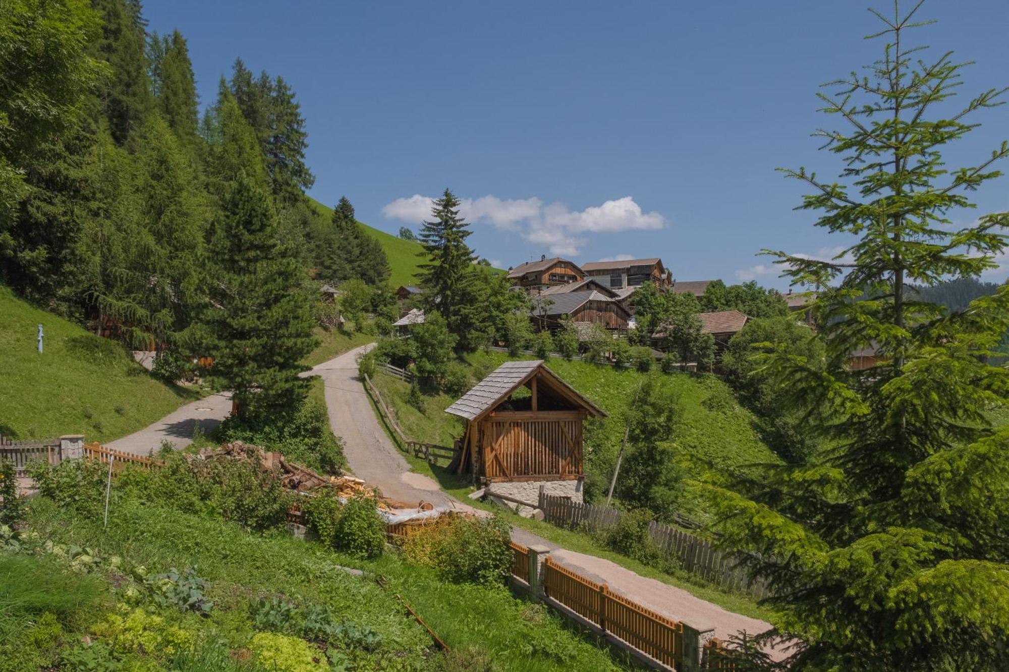 דירות סן מרטינו אין באדיה Ciasa Iachin - Dolomites Dream Retreat מראה חיצוני תמונה