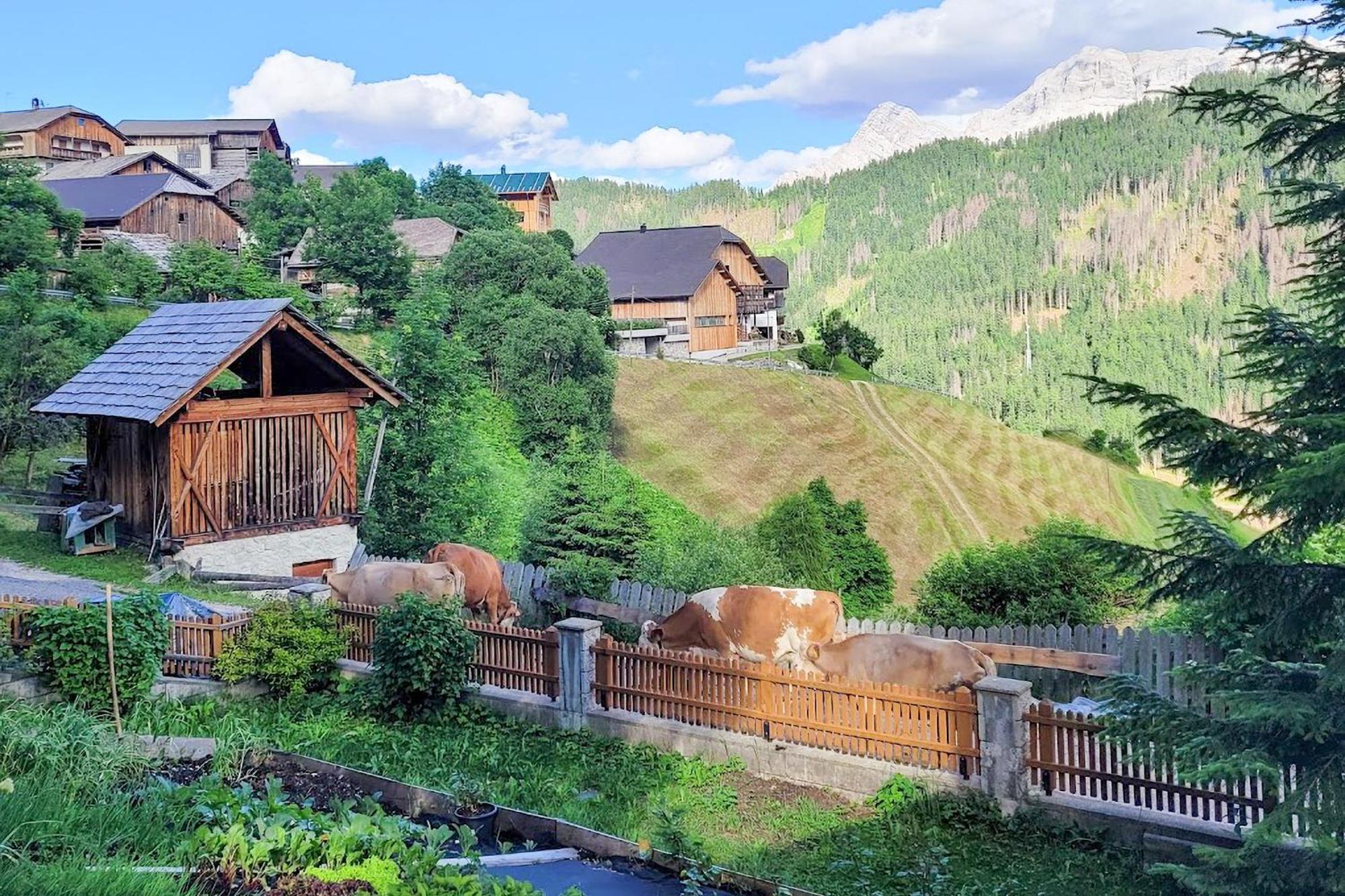 דירות סן מרטינו אין באדיה Ciasa Iachin - Dolomites Dream Retreat מראה חיצוני תמונה
