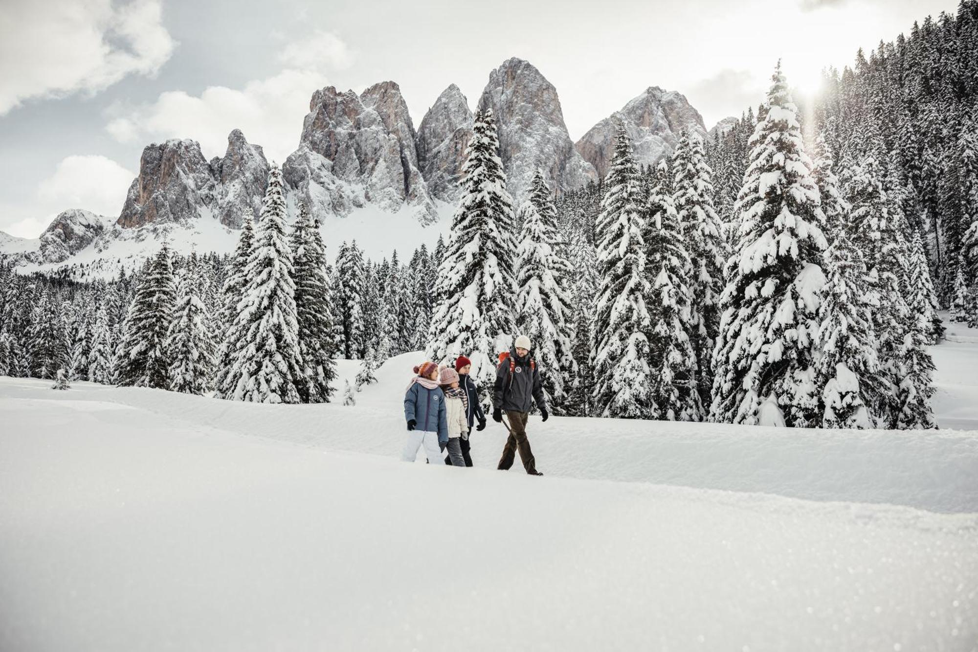 דירות סן מרטינו אין באדיה Ciasa Iachin - Dolomites Dream Retreat מראה חיצוני תמונה
